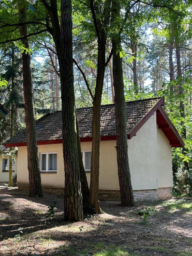 Summer House Lubniewice Exterior photo